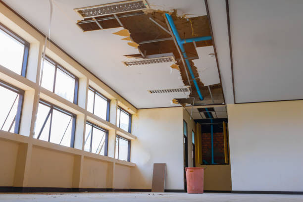 Best 24/7 water damage repair  in , OH