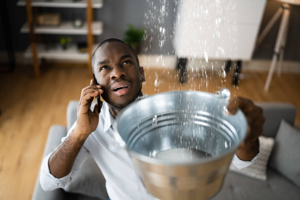 Best Professional water damage repair  in , OH