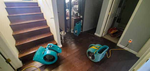 Best Ceiling water damage repair  in , OH