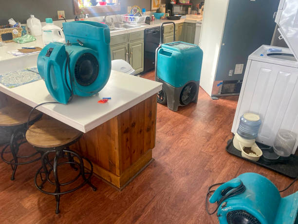 Best Water damage restoration near me  in , OH