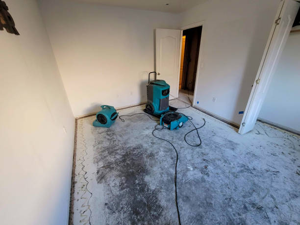 Best Flood restoration services  in , OH