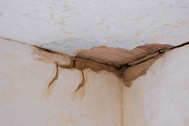 Best Fire Damage Restoration  in , OH