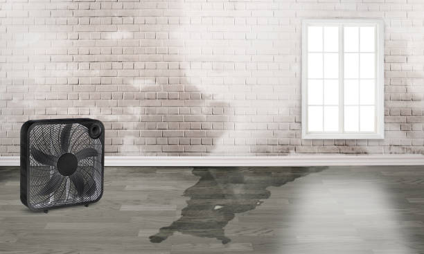 Best Sewage cleanup and water damage restoration  in , OH