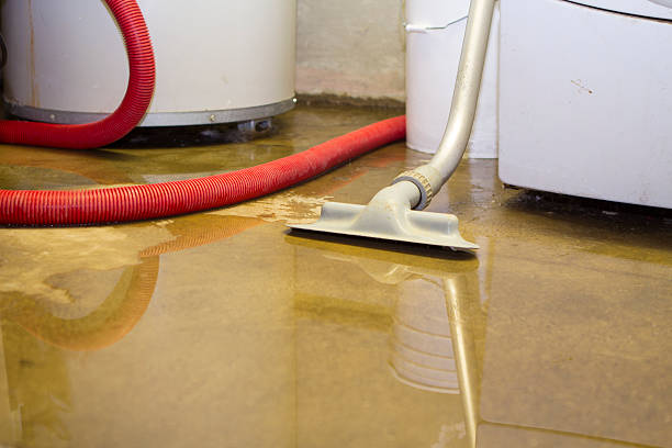 Best Basement water damage restoration  in , OH
