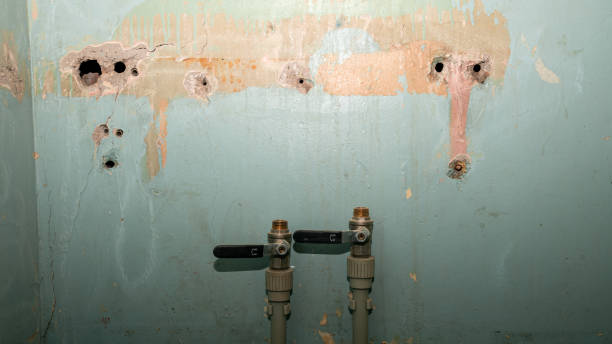 Best Water damage restoration near me  in , OH