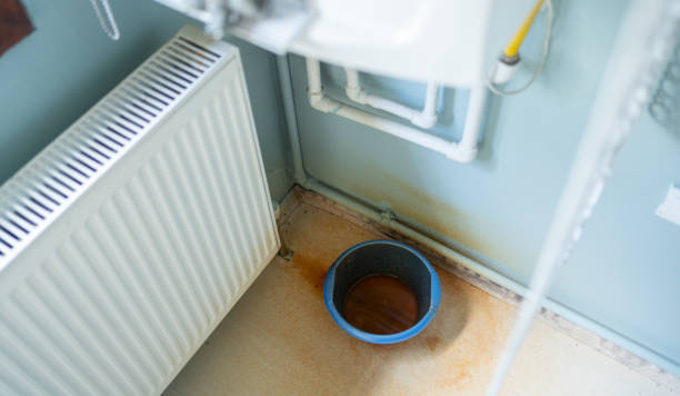 Best Ceiling water damage repair  in , OH