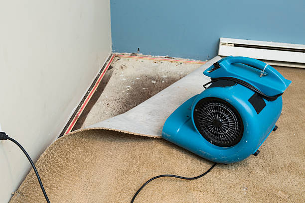 Best Flood damage cleanup  in , OH